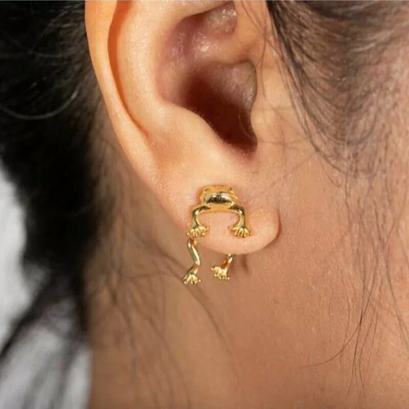 2-Piece Frog Dangle Stud Earrings