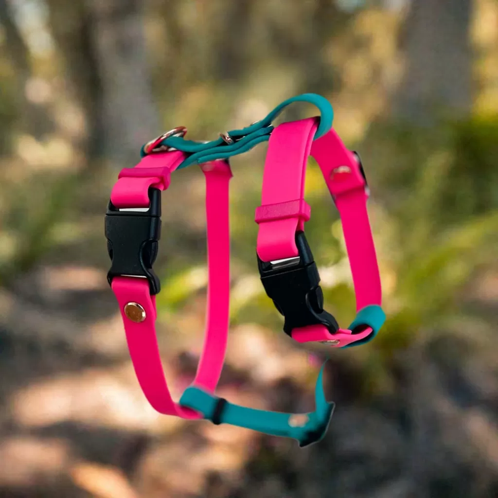 All Rounder Pet Harness, For The Perfect And Safe Fit. Customise