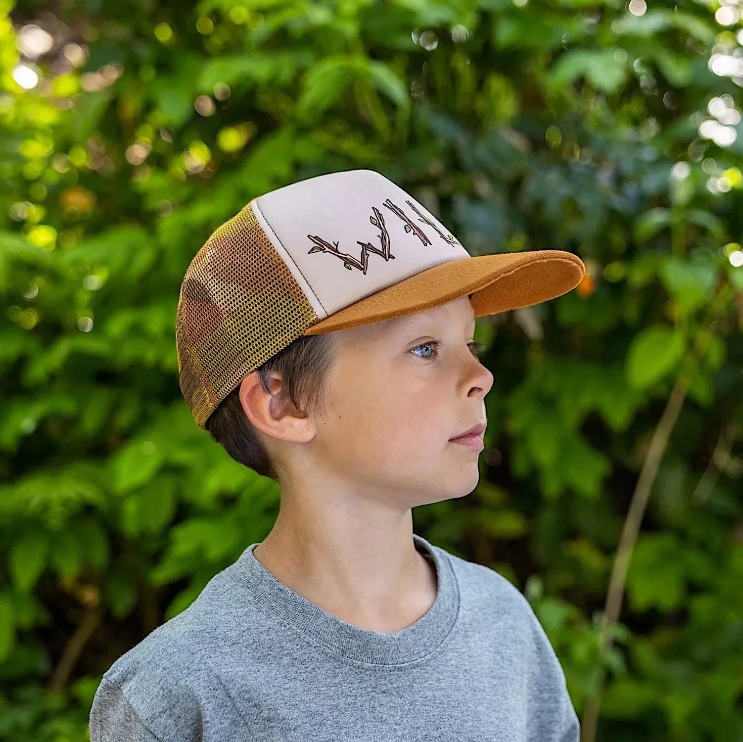 Ambler Wild Cap - Grey