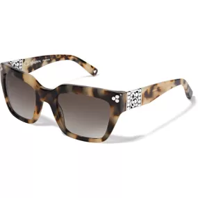 Contempo Dot Sunglasses