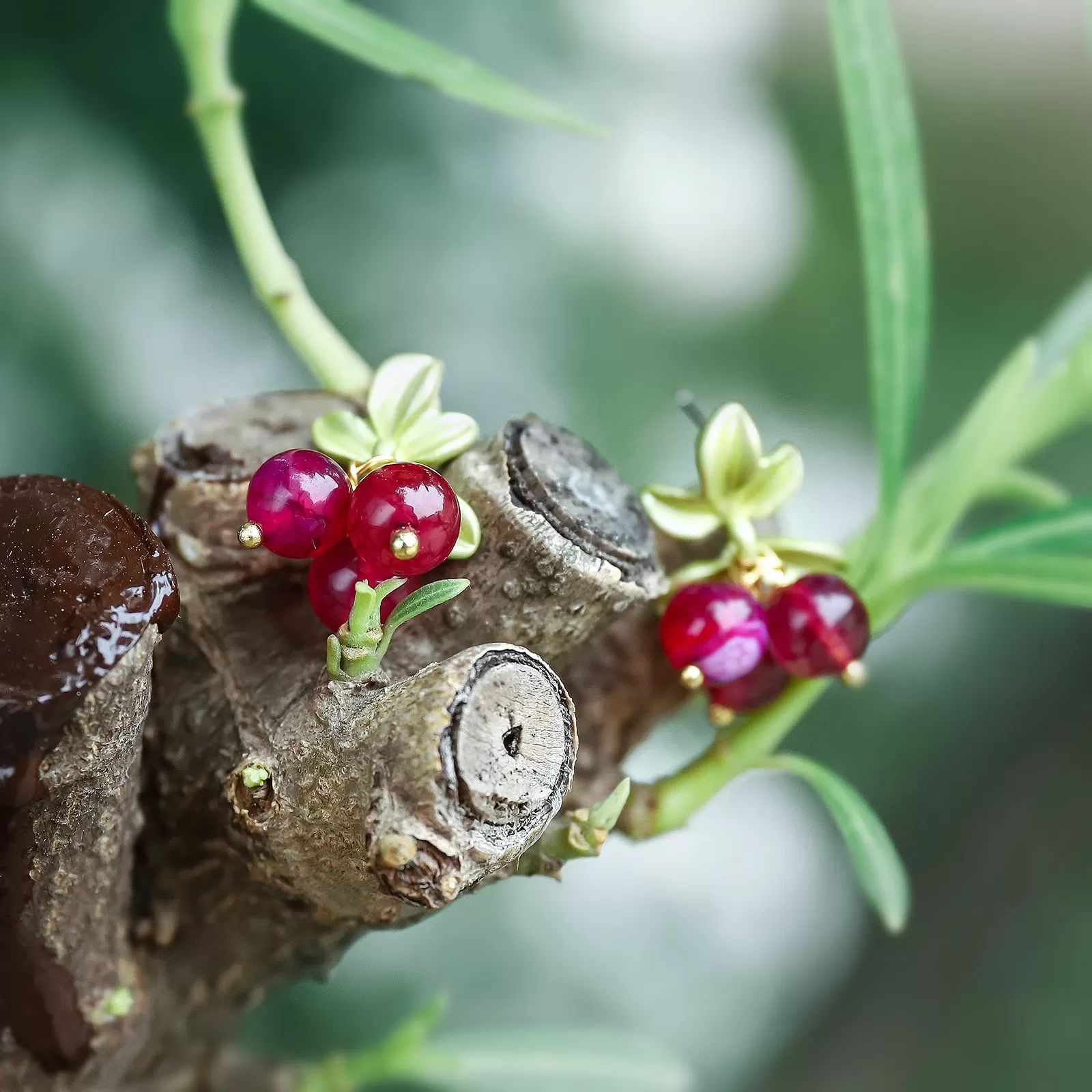 Cranberry Stud Earrings