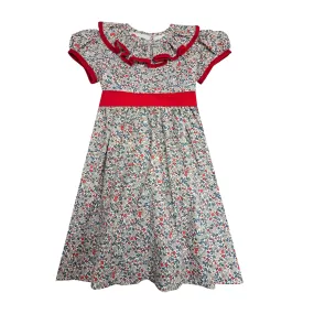 Girl's "Callie & Carter" Christmas Ruffle Collar Dress